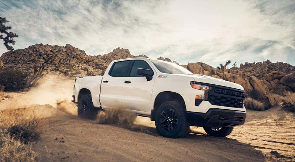 A white 2024 Chevy Silverado 1500 Trail Boss is shown from the front at an angle.