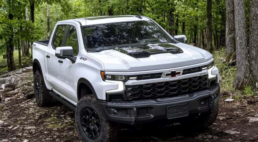 A white 2025 Chevy Silverado 2500 ZR2 Bison parked in a forest.