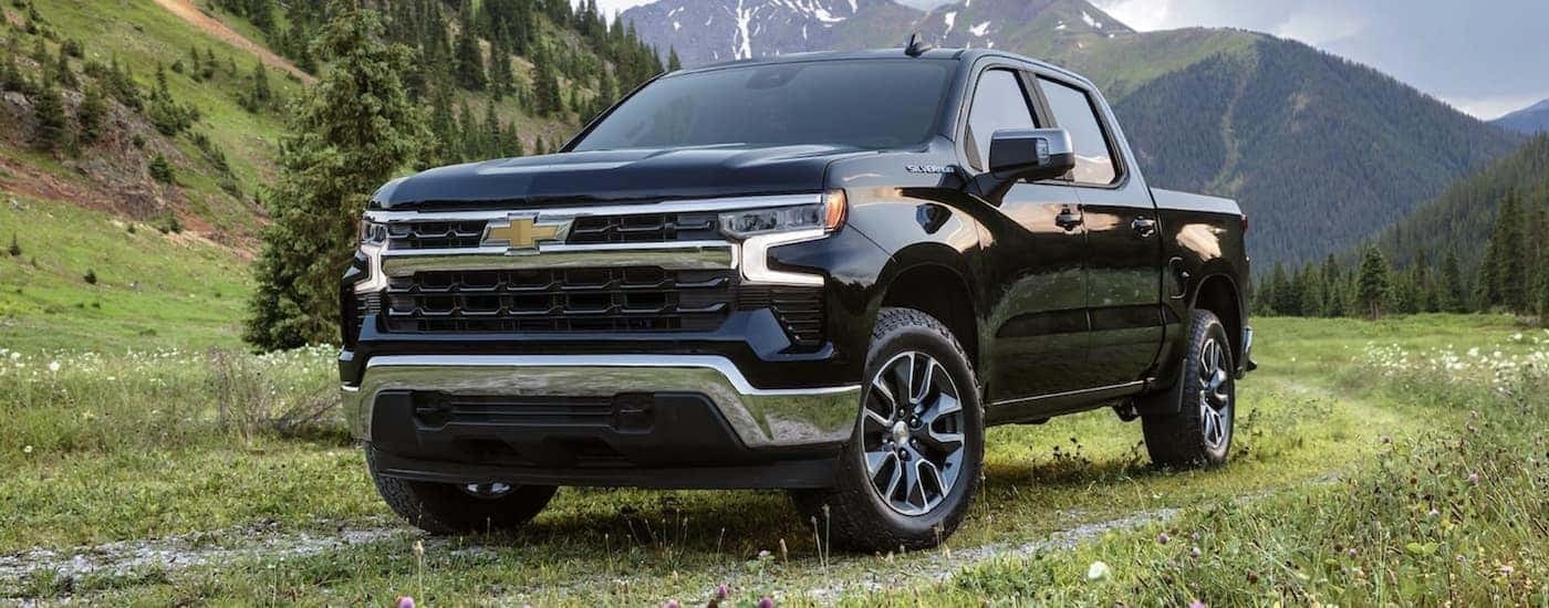 A black 2022 Chevy Silverado 1500 is shown from the front parked in a field.