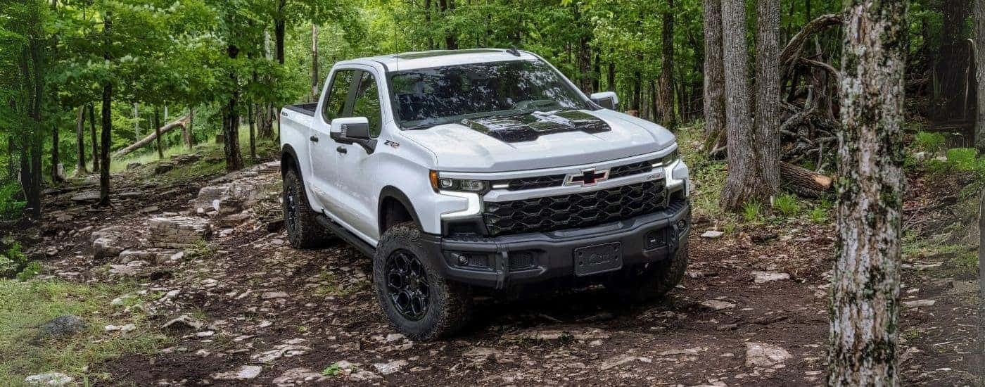 A white 2023 Chevy Silverado 1500 ZR2 parked in a forest